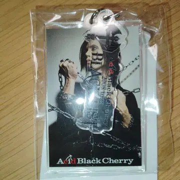 Acid Black Cherry 언제나 함께 키링