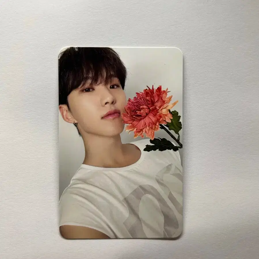 Quick sale!!)) 17 right here (dear.ver) hoshi poca