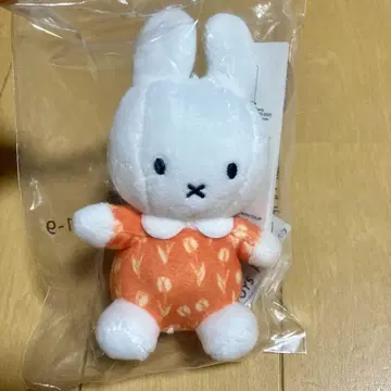 네덜란드관 회장 한정판 미피 만박 엑스포 튤립 키링