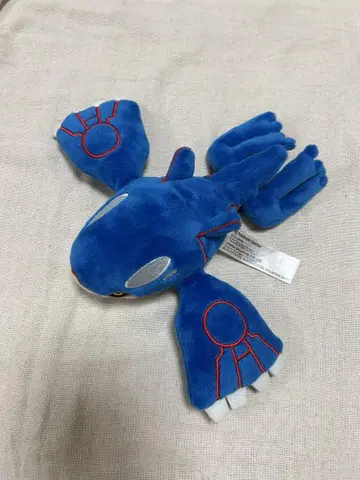 포켓몬 센터 카이오가 봉제 인형