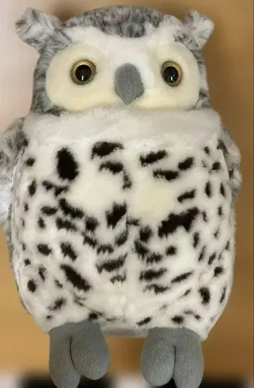 올빼미 봉제 인형