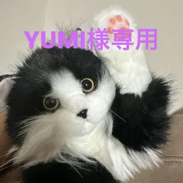 고양이 봉제 인형