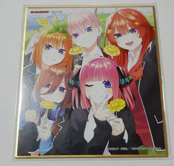 5등분의 신부 5등분의 미래 CD 게이머즈 특전 미니 색지