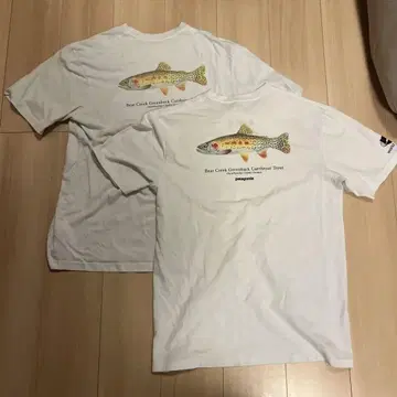 patagonia world trout 트라웃 T셔츠 M 화이트