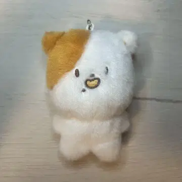 nct dream 지성 포켓치
