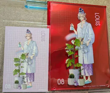 브라콘 스이파라 류세이 포춘 복권 A상