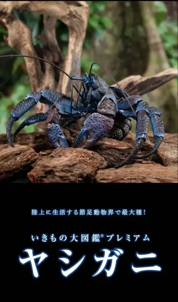 생물대도감 프리미엄 야자게