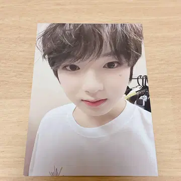 NCTWISH NCT WISH 전원 증정회 포토카드 셀카 사쿠야