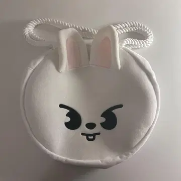 straykids leebit 토트백