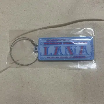 LANA 러버 키링