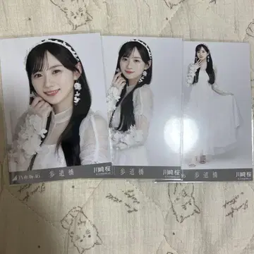 보도교 카와사키 벚꽃 컴프