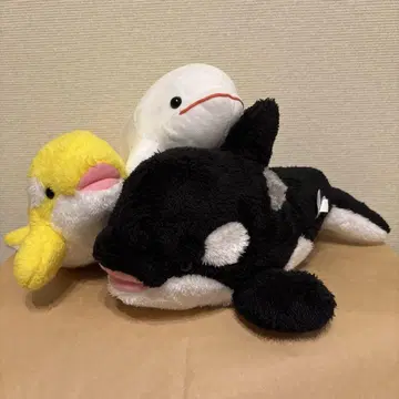 범고래 벨루가 봉제 인형 세트