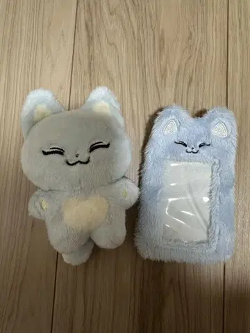 EVNNE 박한빈 봉제 인형 트레이딩 카드 케이스 폭스빈