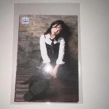오쿠마 와카나 프로마이드 2024