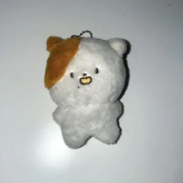 nctdream 지성 봉제 인형 포켓티