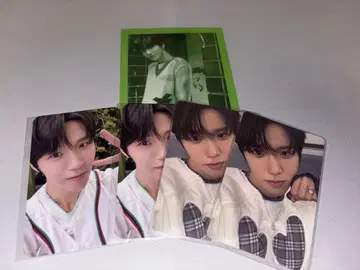 nctwish 재희 color 트레이딩 카드