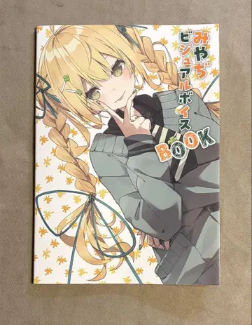 초판 미야지 비주얼 보이스 book