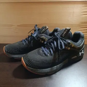 Under Armour HOVR Apex 블랙/그레이