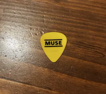 MUSE TORTEX 뮤즈 피크 굿즈 마슈