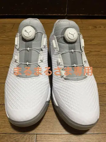Puma 골프화 화이트/그레이