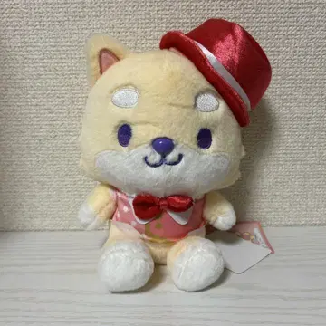 마메하라 잇세이 마메치 조첨 제오원 제이오원