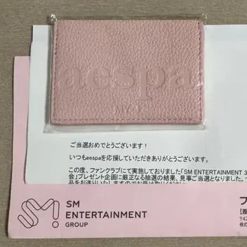 SM 30주년 aespa C상 카드 케이스