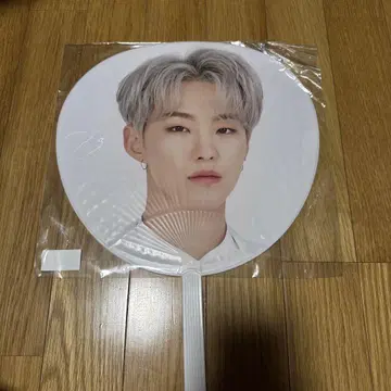 SEVENTEEN HOSHI 부채 DOME TOUR 호시