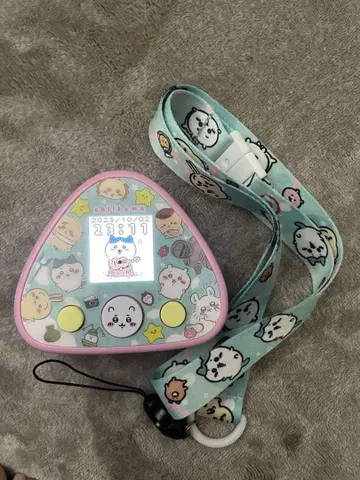 치이카와와 함께
