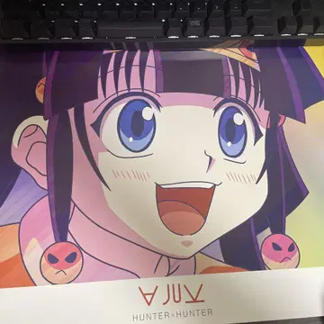 HUNTER x HUNTER 아르카 Ani-Art 포스터