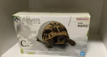 제일복권 파충류&양서류 C상 헤르만육지거북