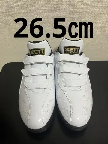 ZETT 트레이닝 슈즈 화이트