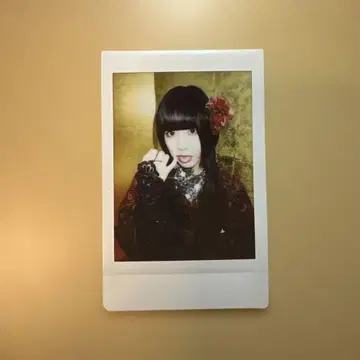 AVAM 사에키 나나미 런치 폴라로이드