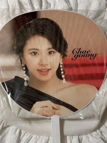 TWICE DOME TOUR 2019 CHAEYOUNG 부채
