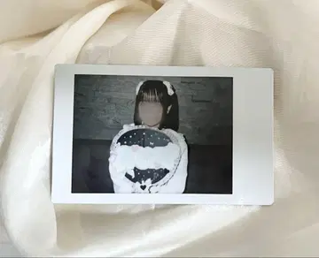 아이스 란 폴라로이드 아이엑