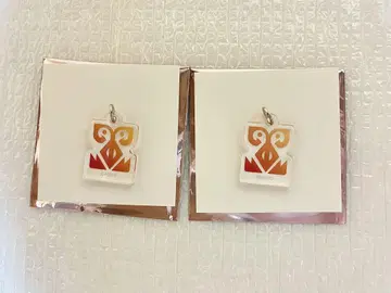 그노시아 SQ 별자리 아크링 키링 2개 세트