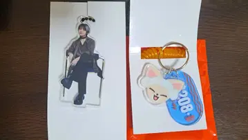 스트레이키즈 아이엔 I.N 폭스엘니