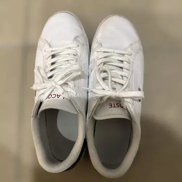 LACOSTE 스니커즈