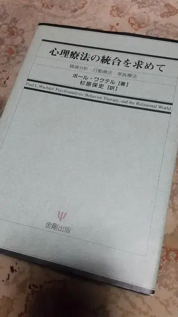 심리치료의 통합을 찾아서