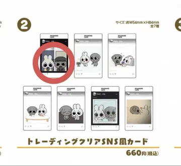 Kkamung&Angto 카문과 앙토 카페 SNS풍 카드
