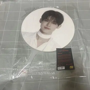 TXT ACT : PROMISE 부채 연준