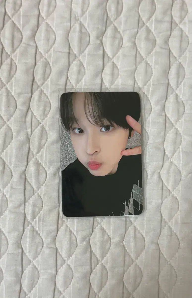 Nct Wish Riku Songbird unreleased photocard