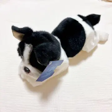 강아지 봉제 인형 화이트 앤 블랙 아기 토이 선물