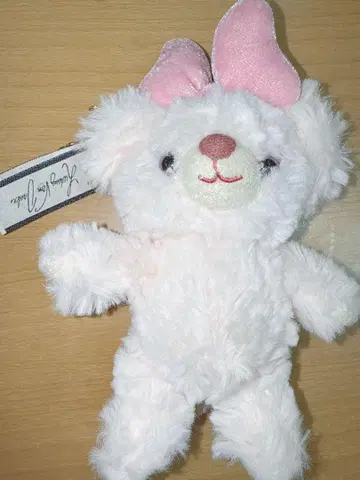 디즈니 유니베어시티 엔젤