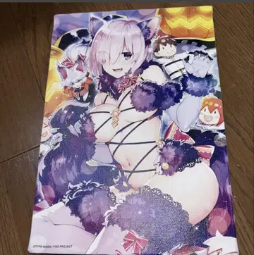 Fate/Grand Order 다 빈치 뮤지엄 캔버스 아트