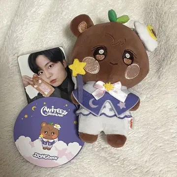 ANITEEZ DREAMLAND 종호 종베어