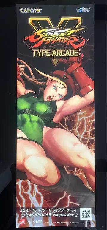 스트리트 파이터 V 단편 포스터 캐미 CAPCOM