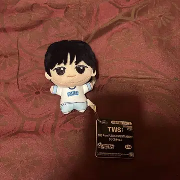 [최저가 새상품급] 투아스 도훈 SD 인형