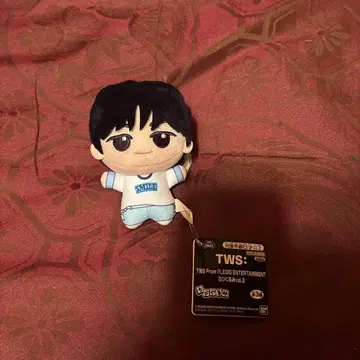[남코 한정판] TWS 아스 SD 인형 vol.2 DOHOON 도훈