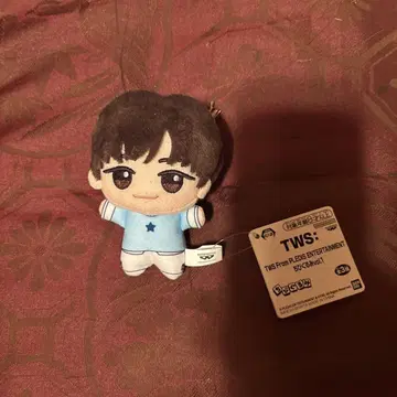 TWS 투아스 SD 인형 봉제 인형 지훈