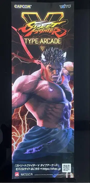 스트리트 파이터 V 단책 포스터 카게나루모노 CAPCOM